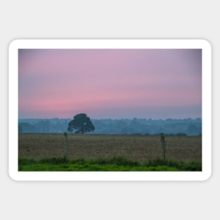 Tree in a field 5917 Sticker